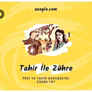 Tahir ile Zühre Hikayesi, Tahir Zühre’ye Kavuşsaydı?