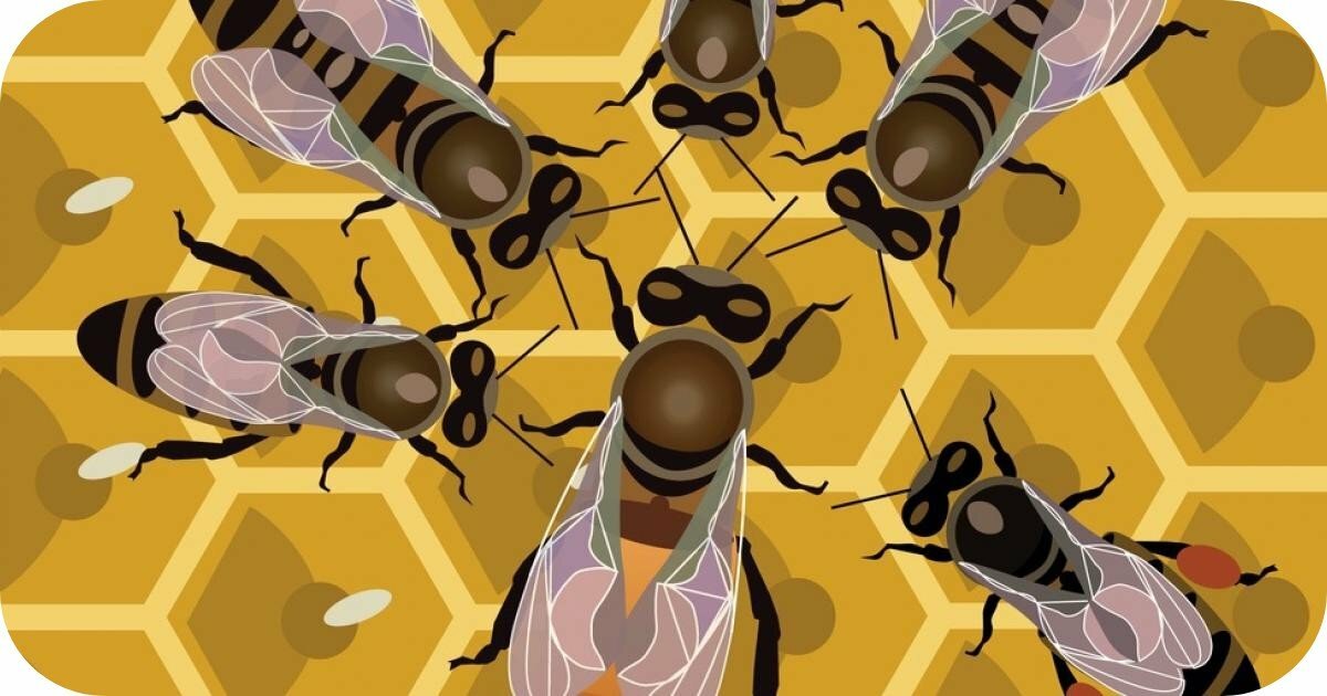 Kraliçe Arı Sendromu: Kadınların Otorite Mücadelesi