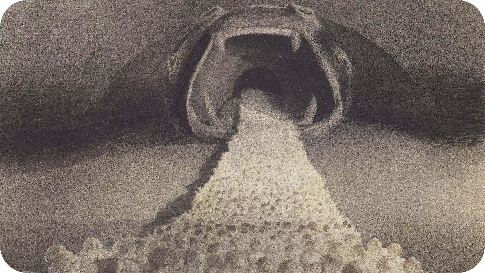Sanatın Karanlık Temsilcisi: Alfred Kubin