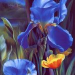 Deniz kullanıcısının profil fotoğrafı